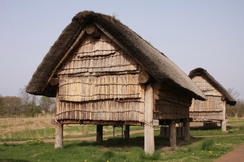 historico: Poblado de Sannai Maruyama