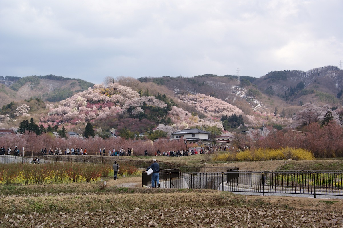 parques: Parque Hanamiyama