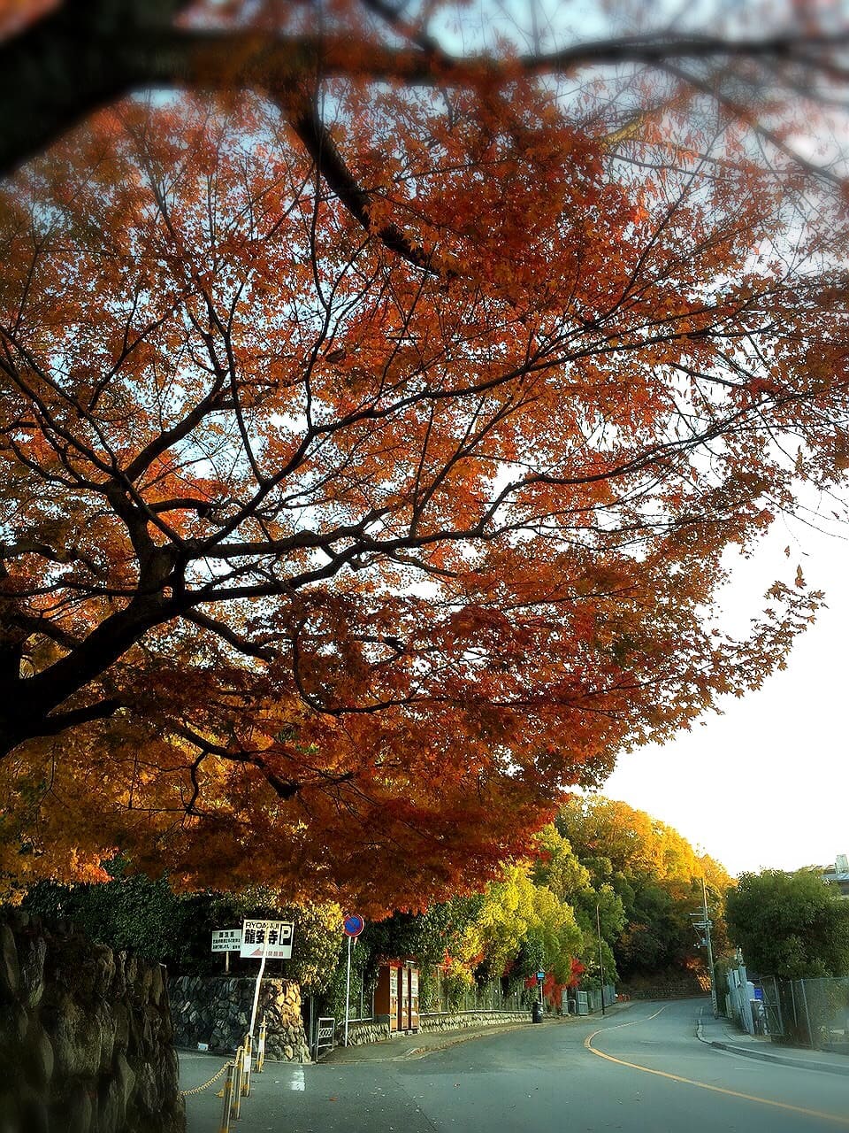 Templo Ryoanji de Kyoto