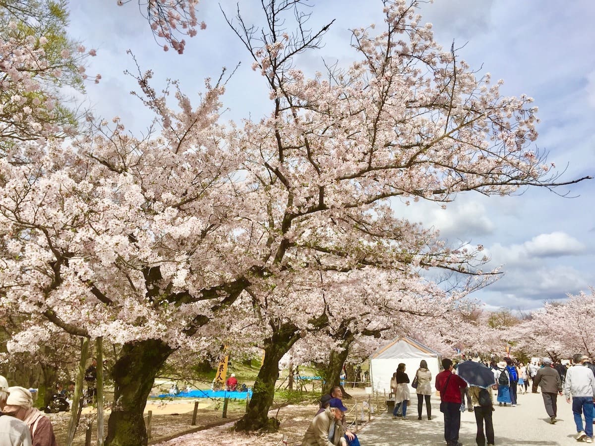 Parque del Castillo de Himeji