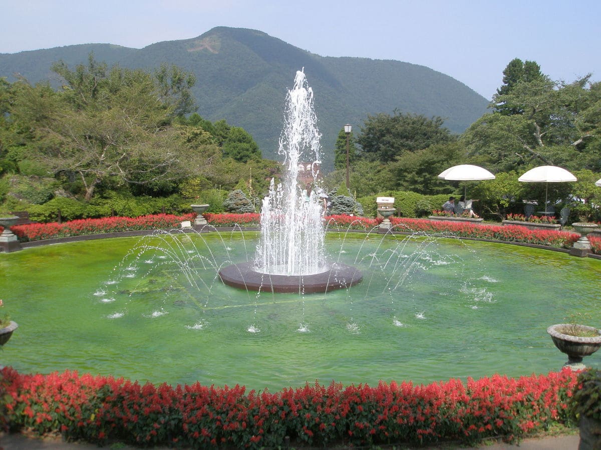 parques: Parque Gora