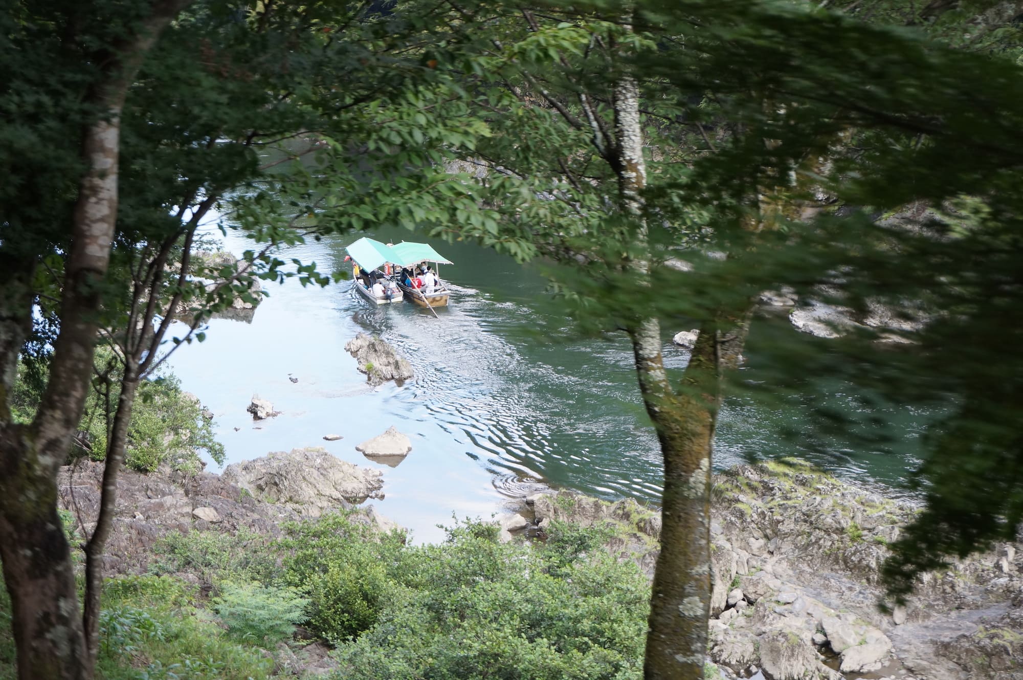 parques: Crucero por el Río Hozugawa