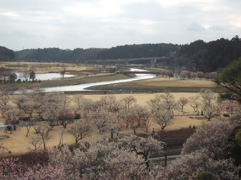 jardines: Jardín Kairakuen