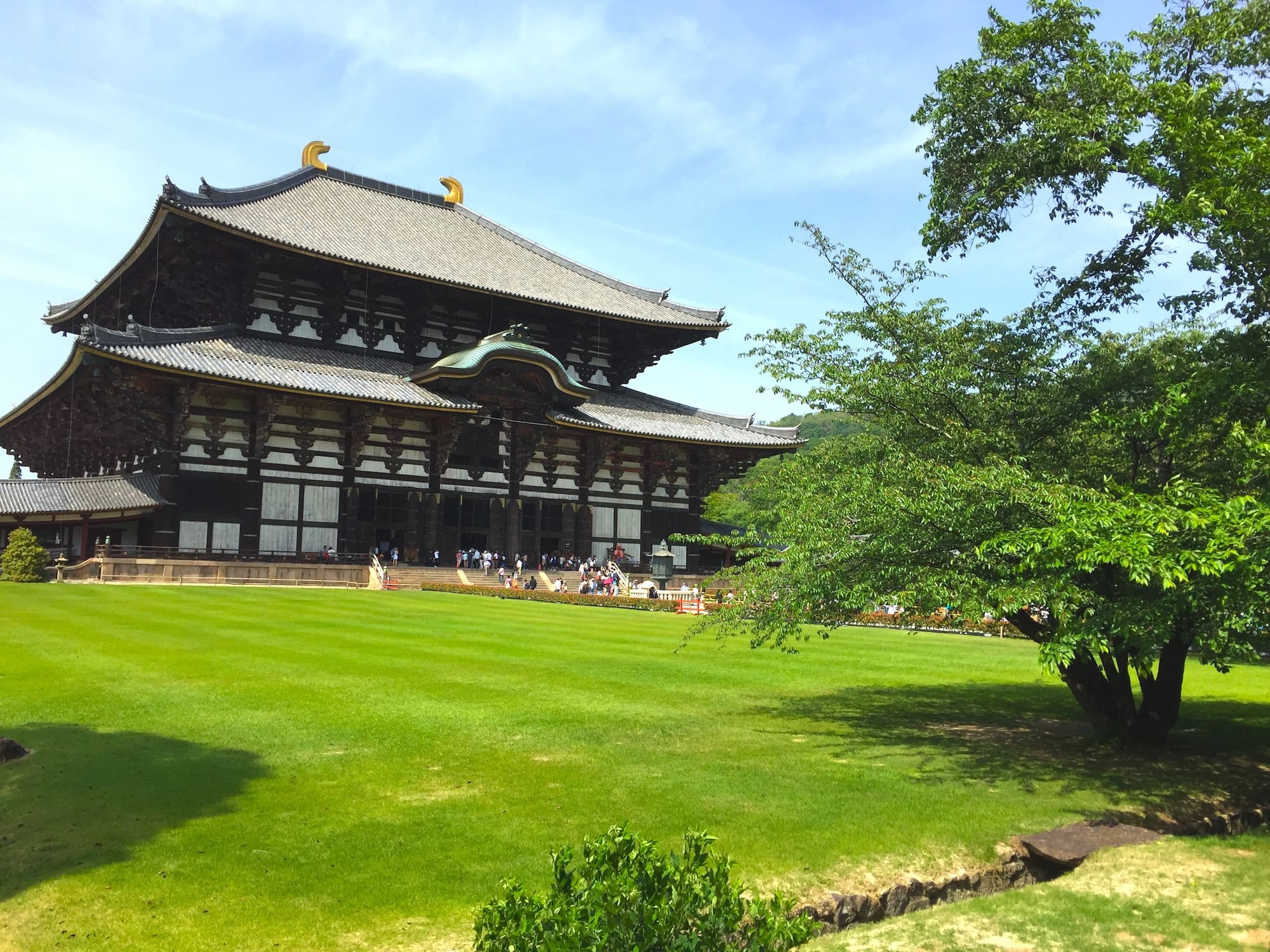 : Las 10 Mejores Atracciones de Nara: Un Viaje por la Tradición y la Cultura de Japón