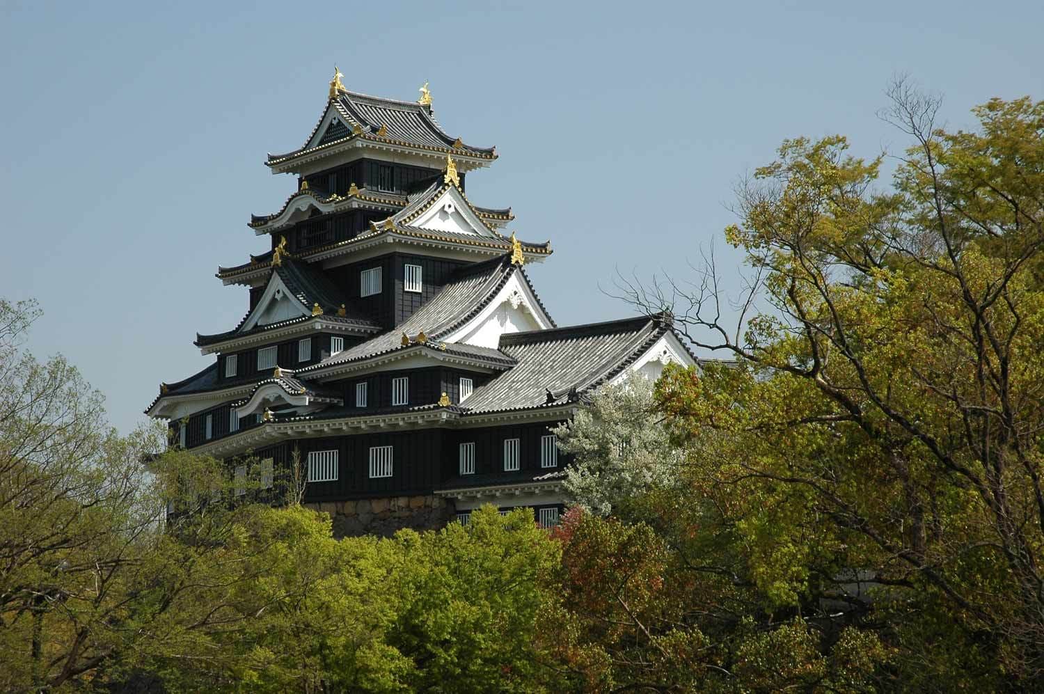 castillos: Castillo de Okayama