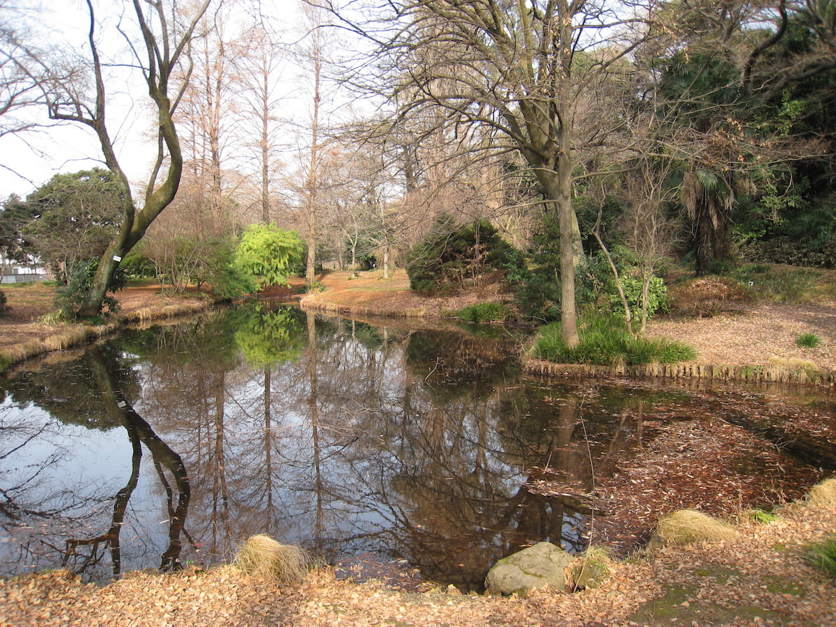 jardines: Jardín Botánico Koishikawa