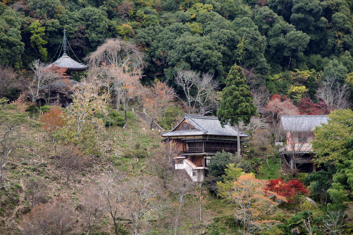 templos: Templo Nyoirinji